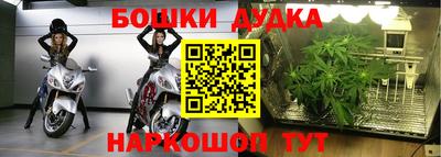 сатива Ливны