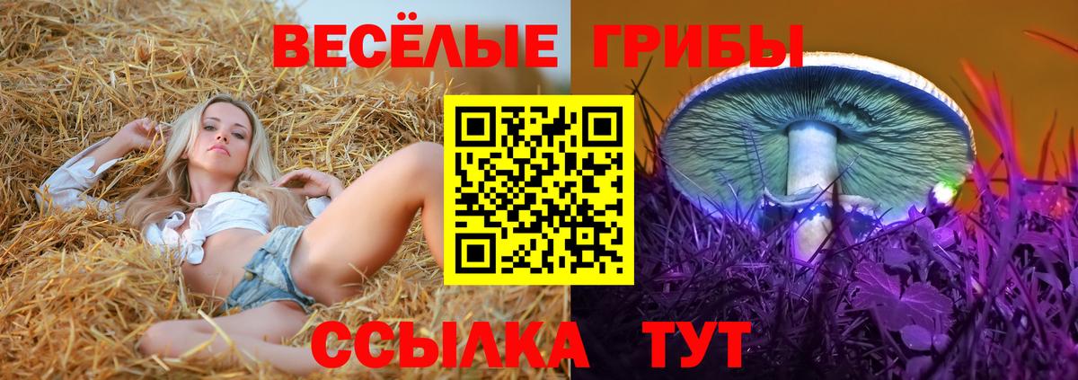 Добрянка  Галлюциногенные грибы MAGIC MUSHROOMS  магазин продажи наркотиков  Галлюциногенные грибы мицелий  Вход с VPN 