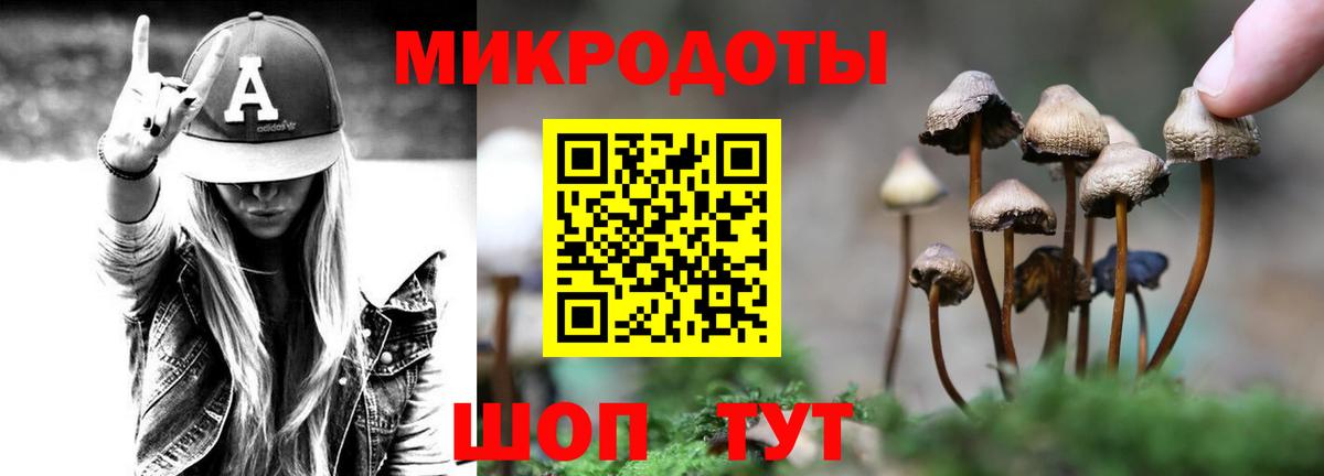 Галлюциногенные грибы GOLDEN TEACHER Добрянка